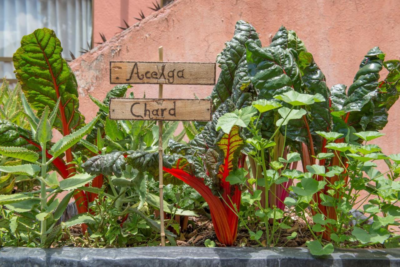 Casa Estrella De La Valenciana Hotel Boutique Guanajuato Dış mekan fotoğraf