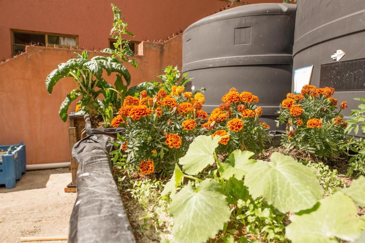 Casa Estrella De La Valenciana Hotel Boutique Guanajuato Dış mekan fotoğraf