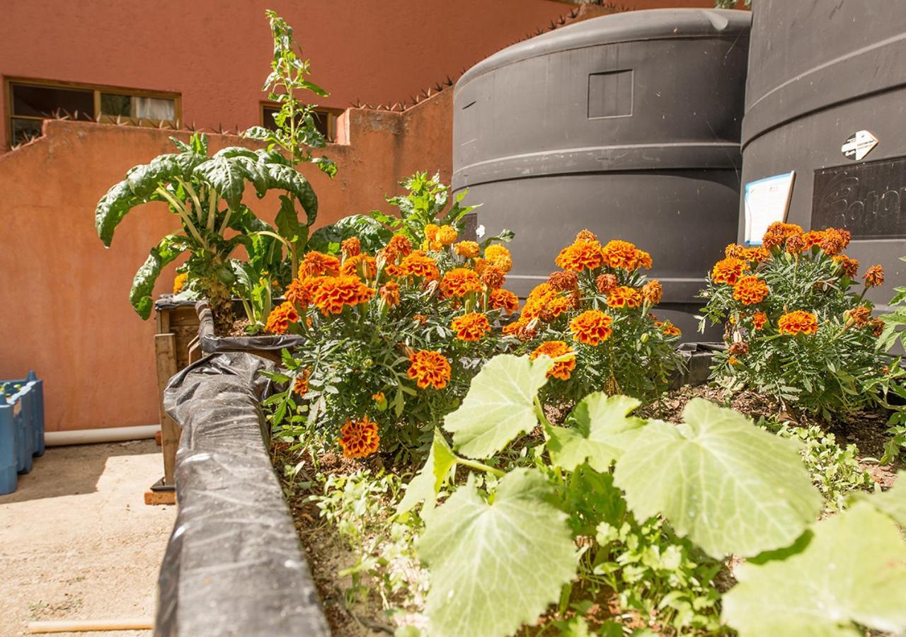 Casa Estrella De La Valenciana Hotel Boutique Guanajuato Dış mekan fotoğraf