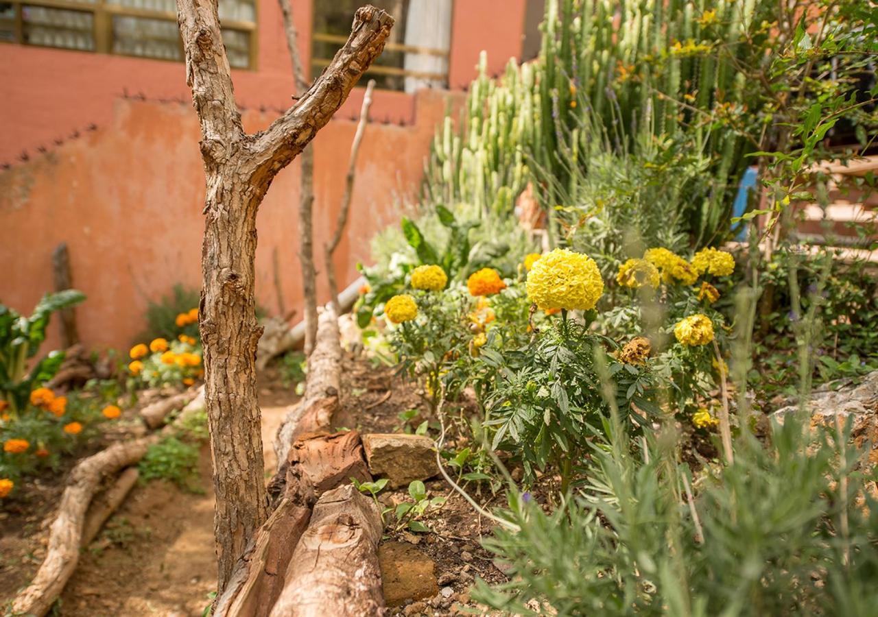 Casa Estrella De La Valenciana Hotel Boutique Guanajuato Dış mekan fotoğraf